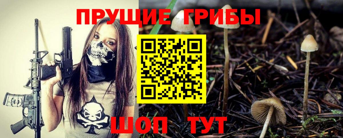 Галлюциногенные грибы Psilocybine cubensis  Вход с VPN  Анжеро-Судженск 